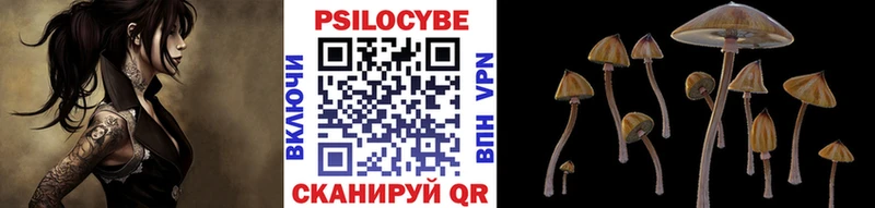Галлюциногенные грибы Psilocybe  закладки  Лодейное Поле 